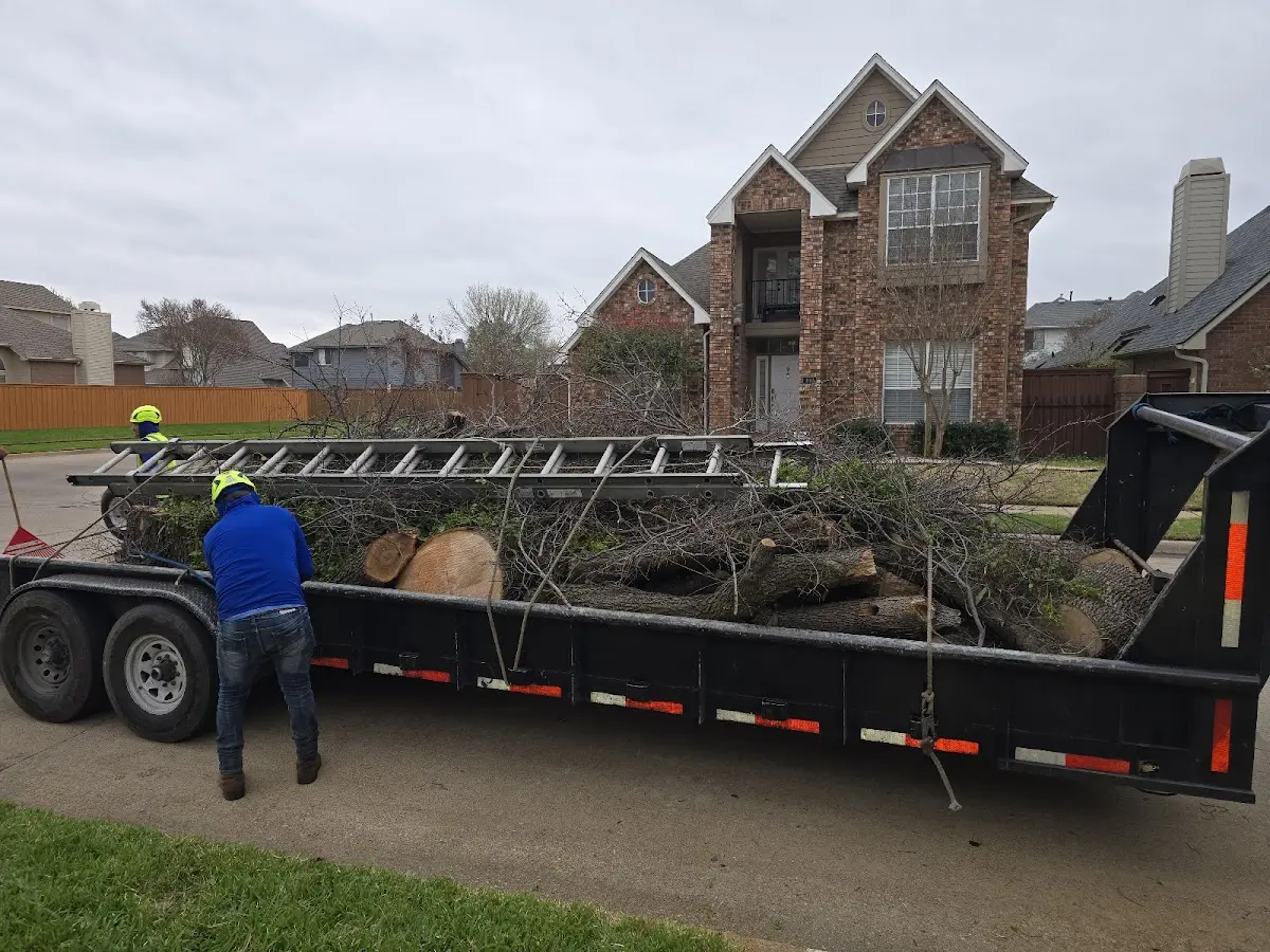 Expert Tree Pest Control with proper safety equipment in Farber